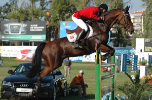 The Bay Show Jumper